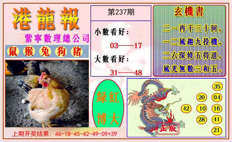 237期港龙报[图]