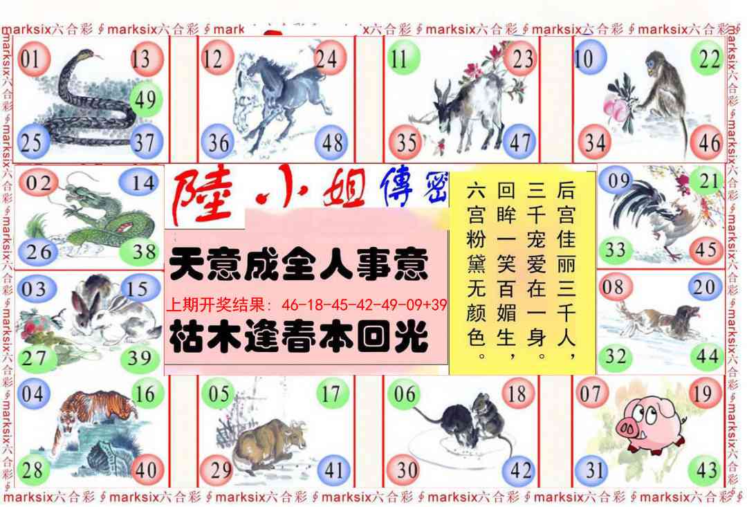 237期陆小姐传密B[图]