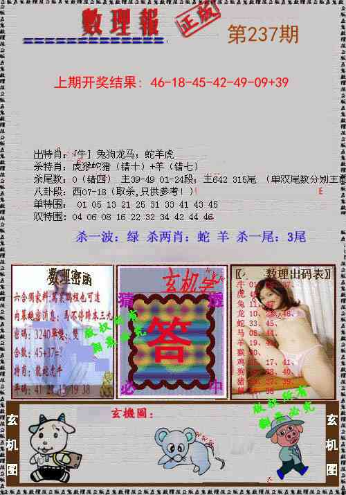 237期数理报[图]