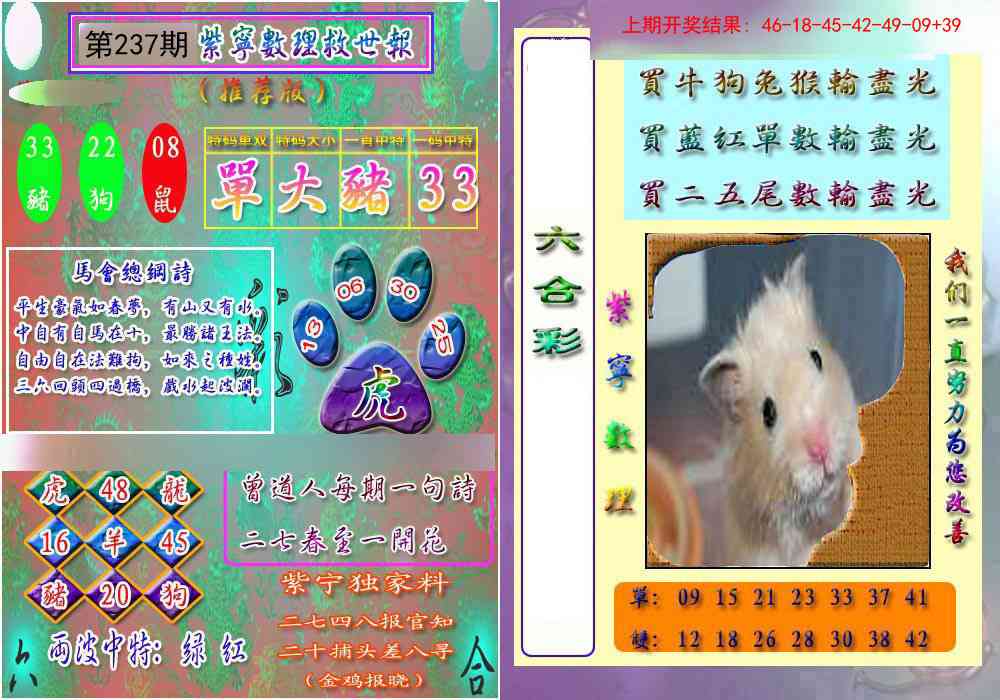 237期数理救世报[图]