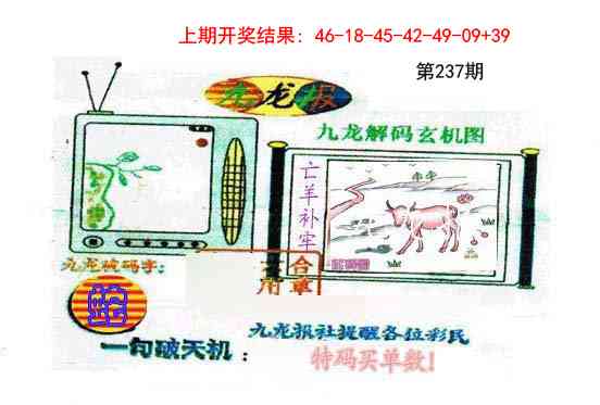 237期九龙报[图]