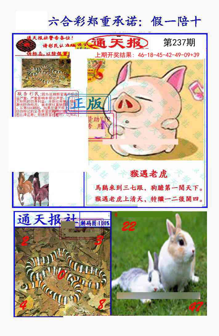 237期假一陪十通天报[图]