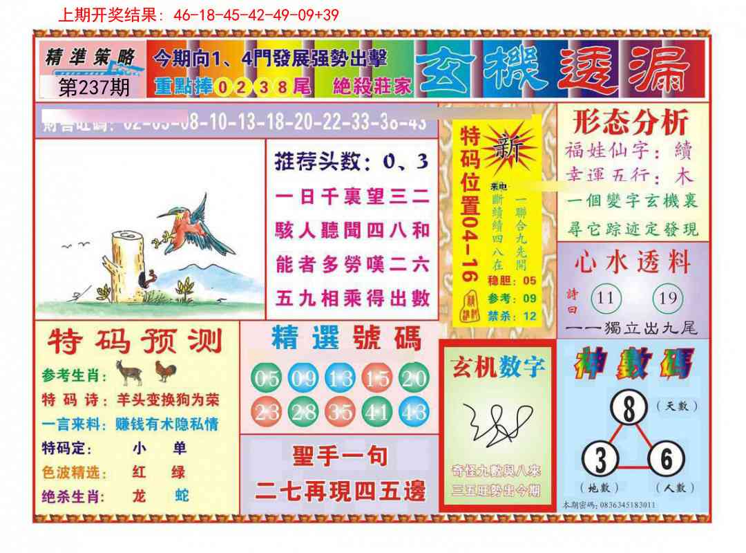 237期玄机透漏[图]