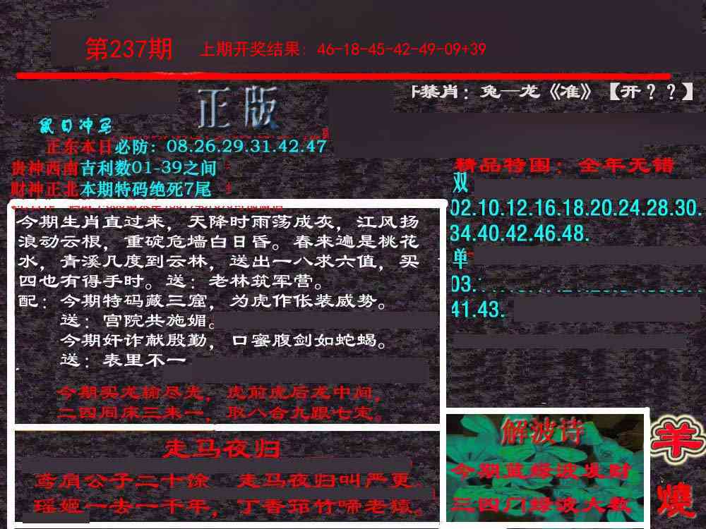 237期新港内幕[图]