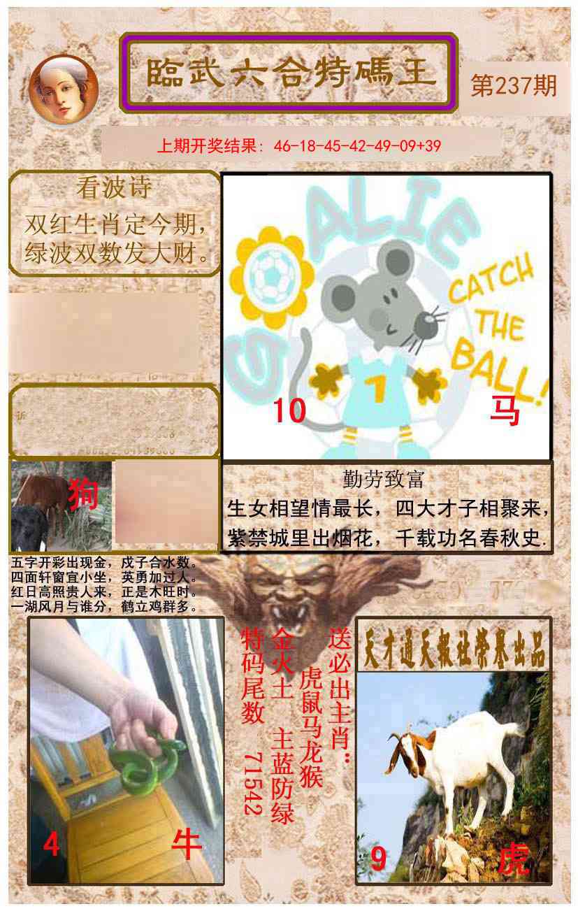 237期临武六合特码王[图]