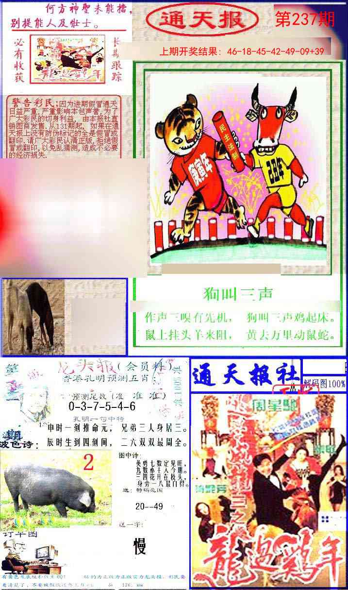 237期实力通天报[图]