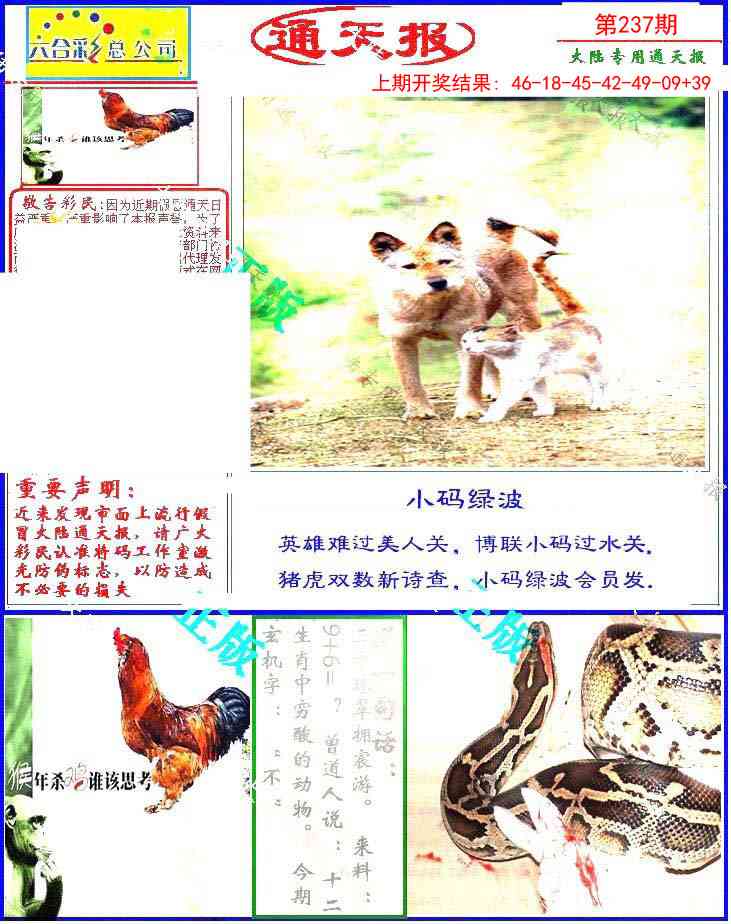237期大陆通天报[图]