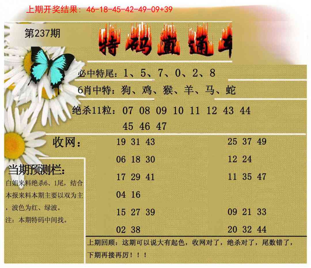 237期特码直通车[图]