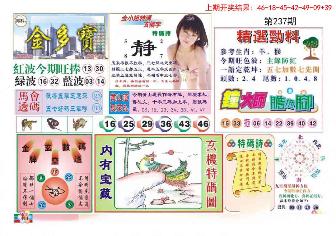 237期金多宝[图]
