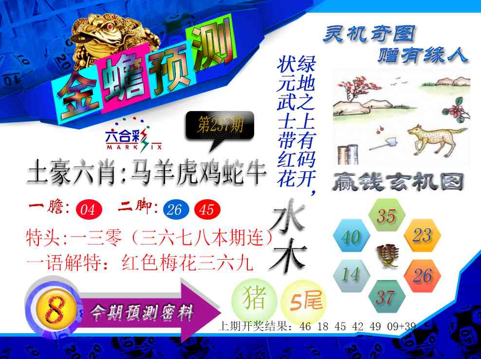 237期金蟾预测[图]