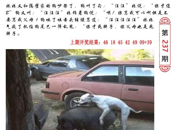 237期澳门生活幽默[图]