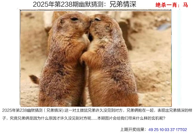 238期幽默猜测[图]