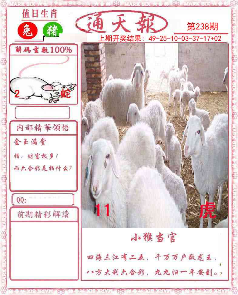 238期正版通天报[图]