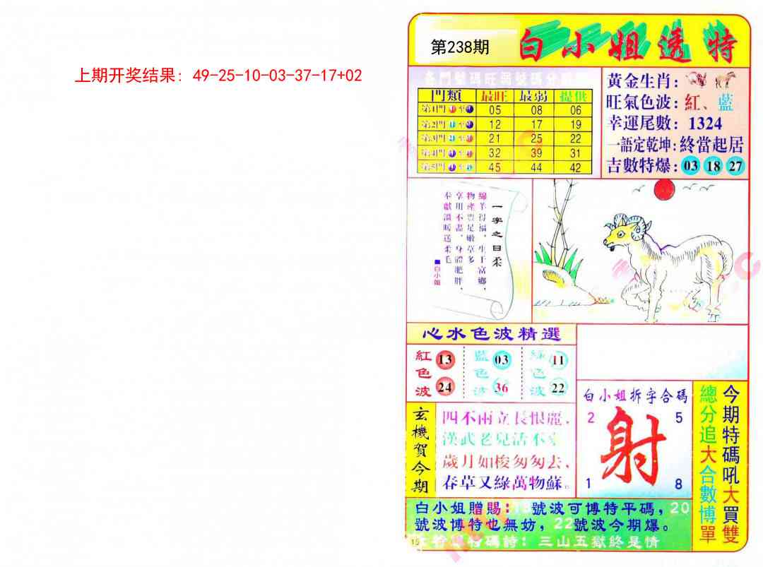 238期白小姐透特[图]