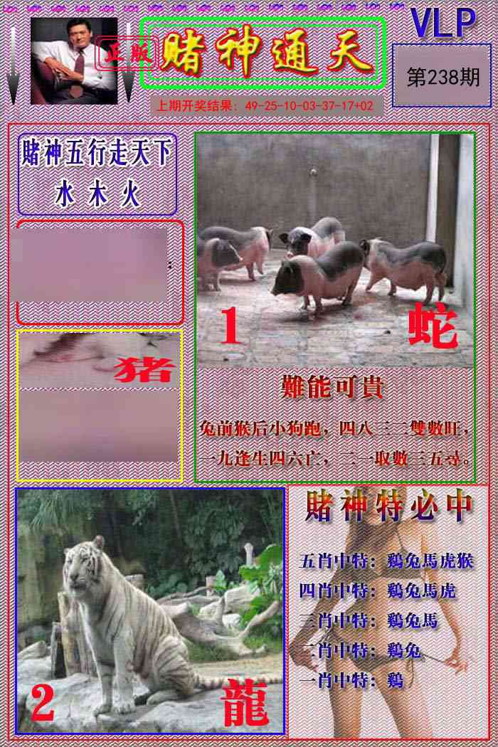 238期赌神通天报[图]