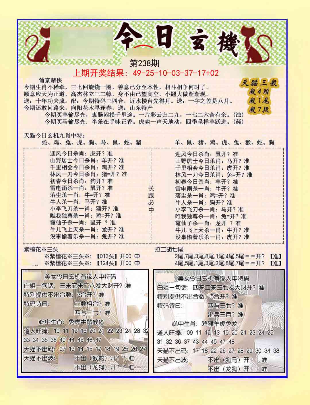 238期今日玄机图B[图]