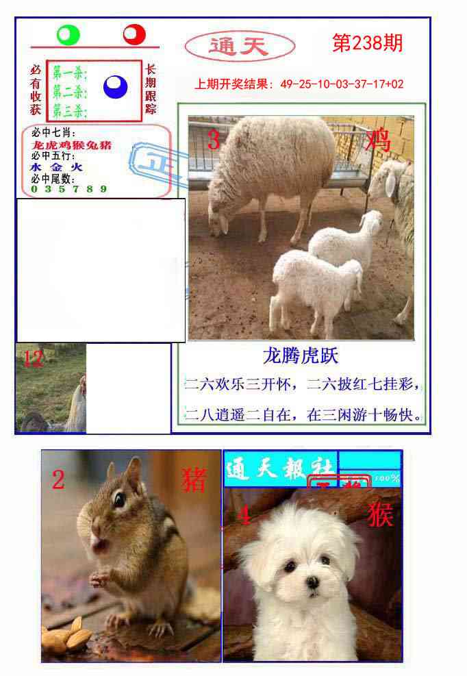 238期通天杀波图2[图]