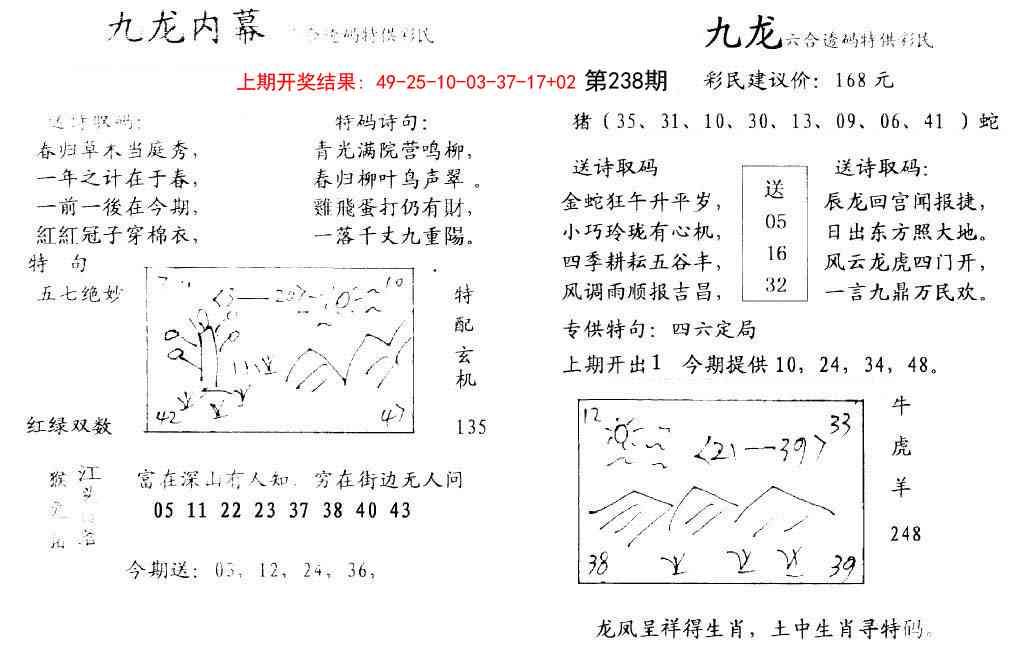 238期九龙内幕[图]