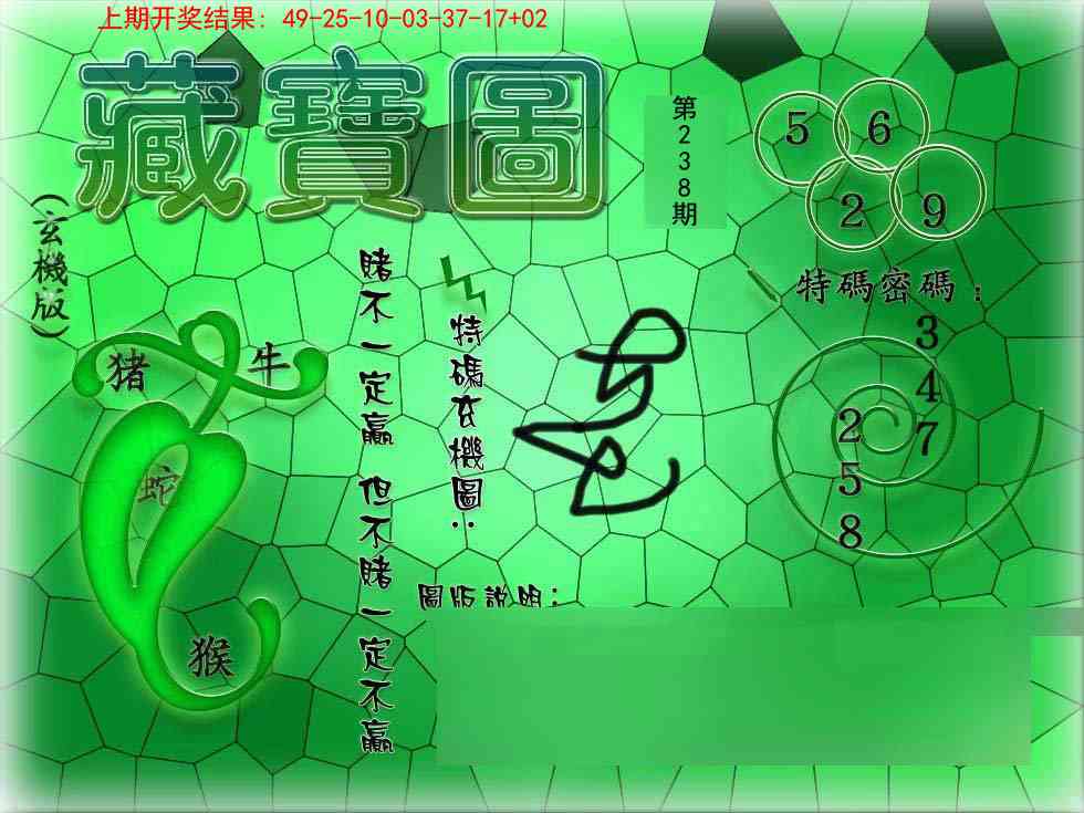 238期九龍玄机报[图]