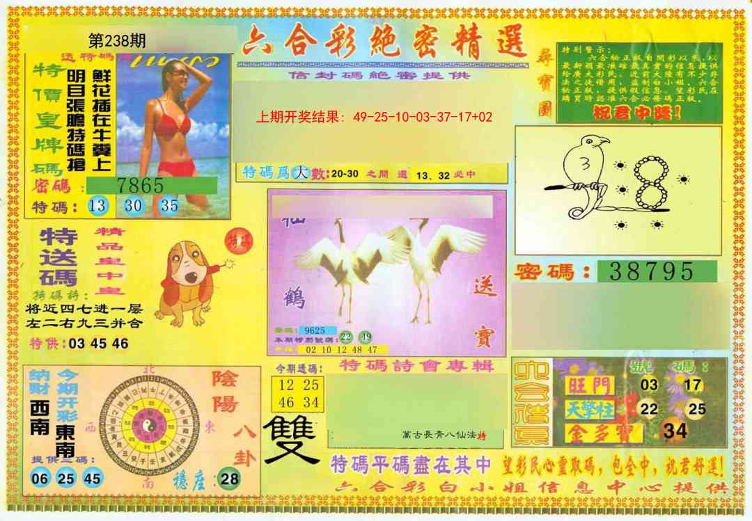 238期绝密精选A[图]