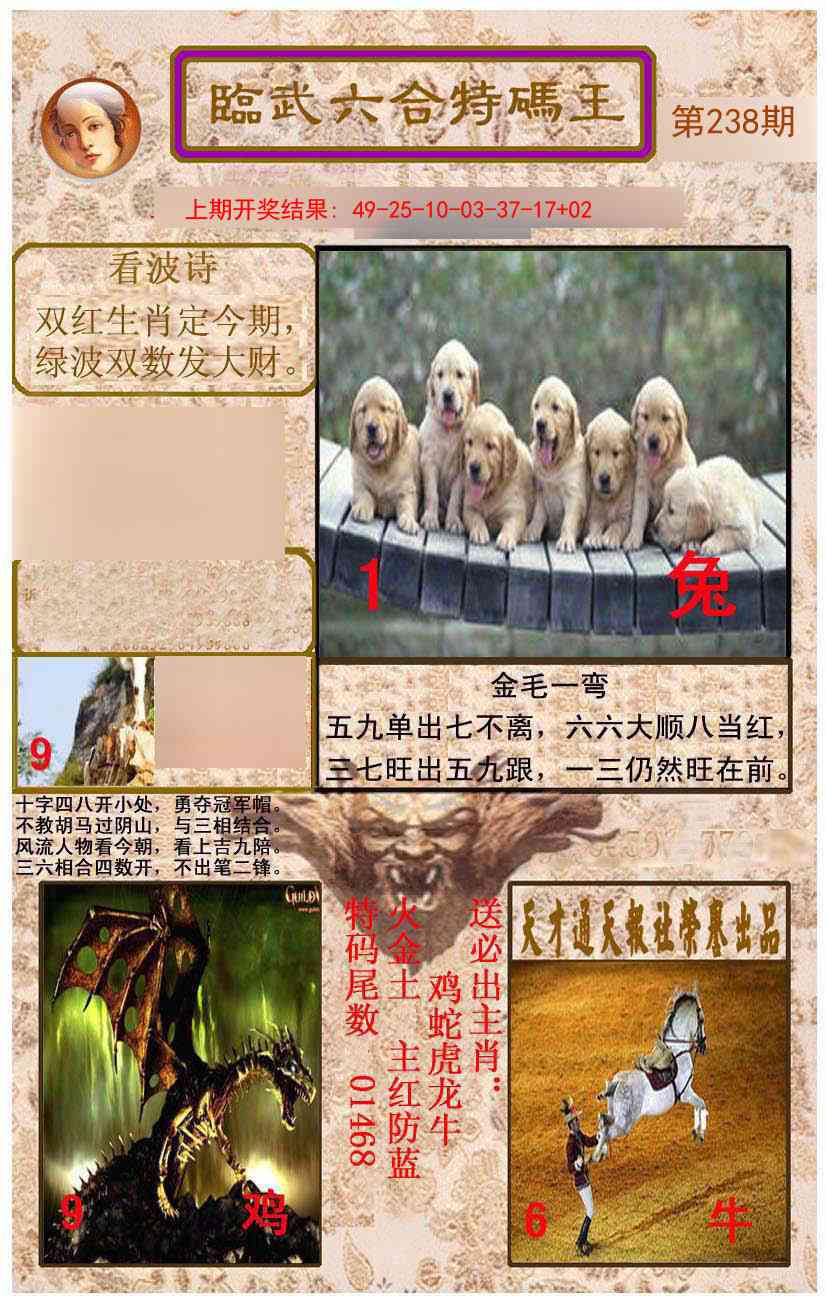 238期临武六合特码王[图]
