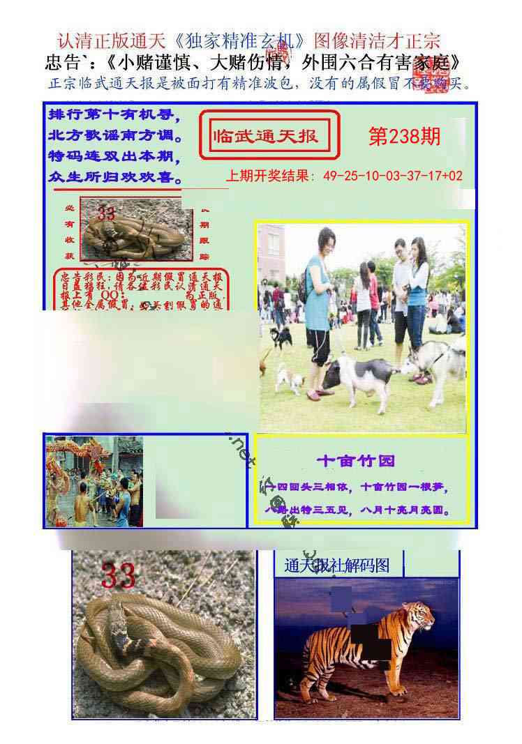 238期临武通天报[图]