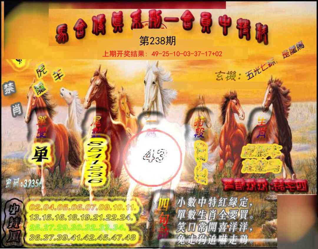 238期马会传真-会员报[图]
