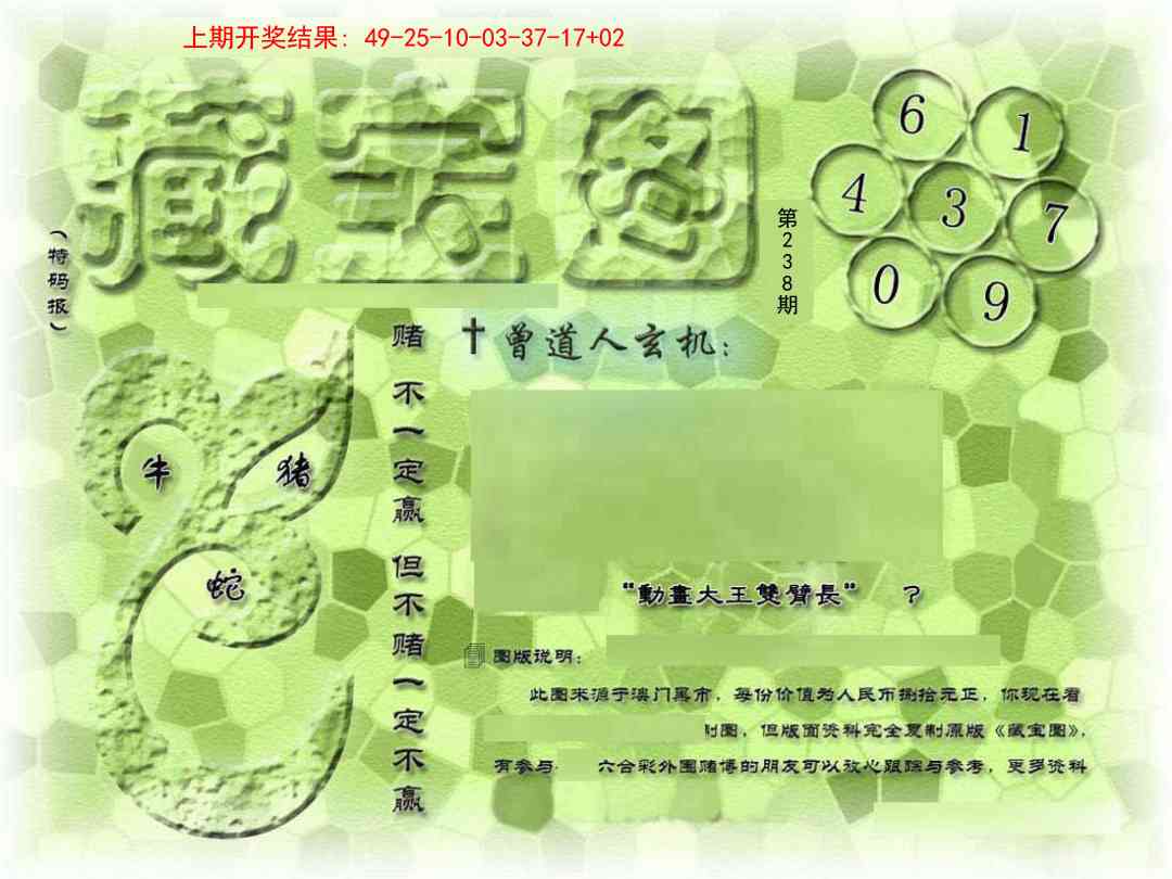 238期假新藏宝图[图]