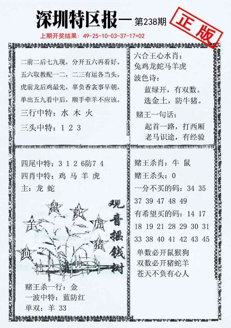 238期深圳特区报A[图]