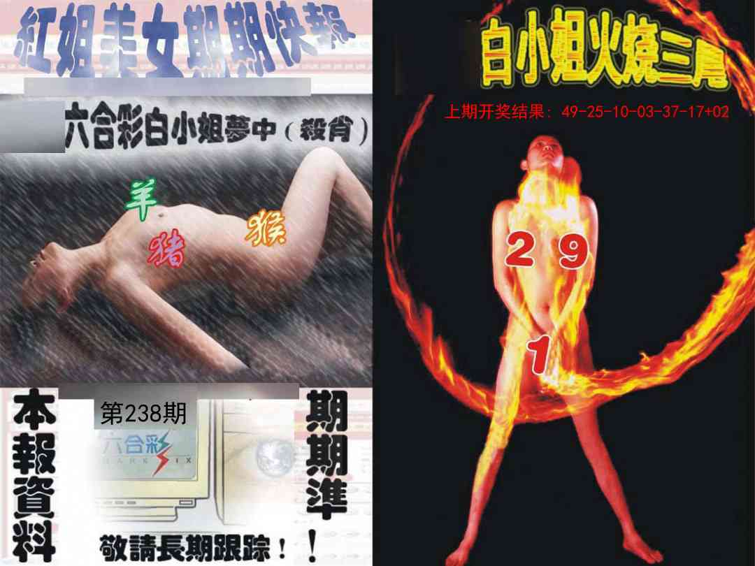 238期环球美女特码报[图]