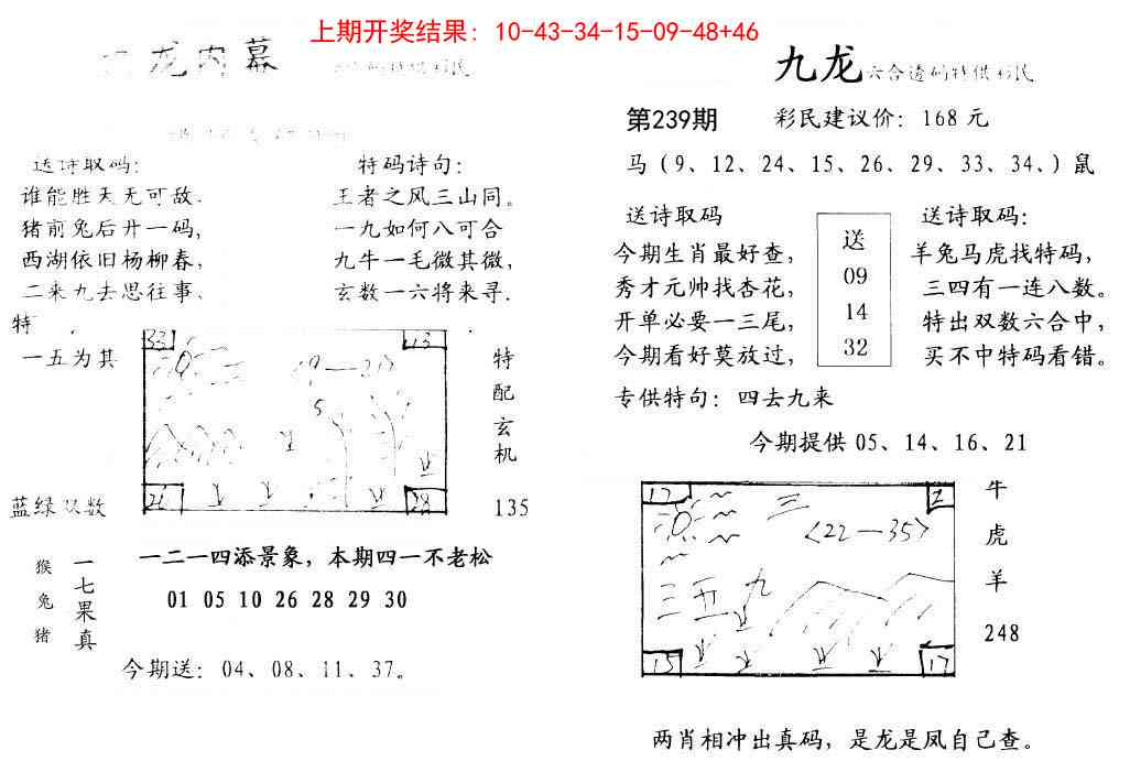 239期九龙内幕[图]