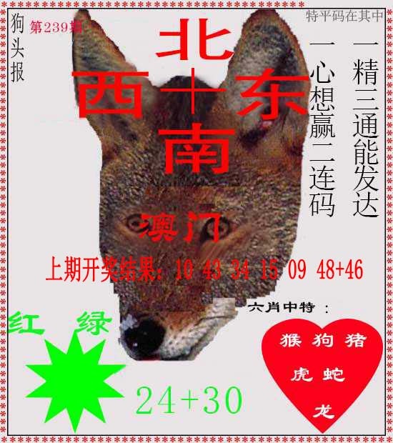 239期狗头报[图]