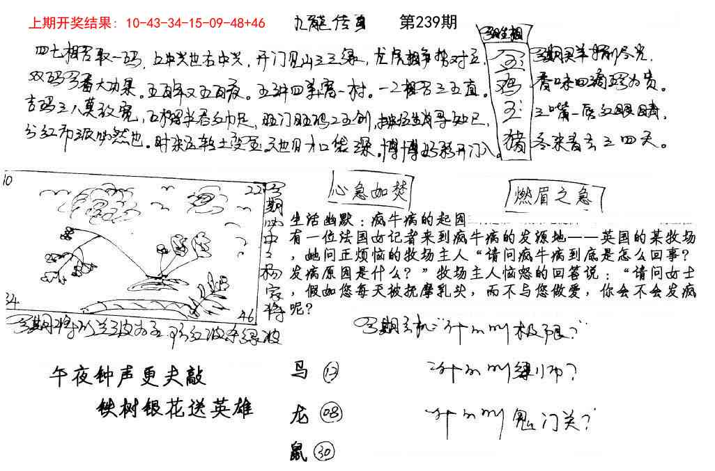 239期手写九龙内幕[图]