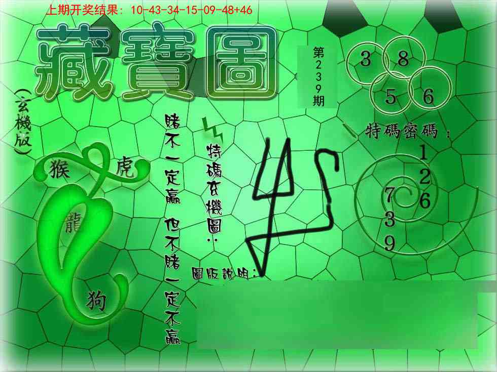 239期九龍玄机报[图]