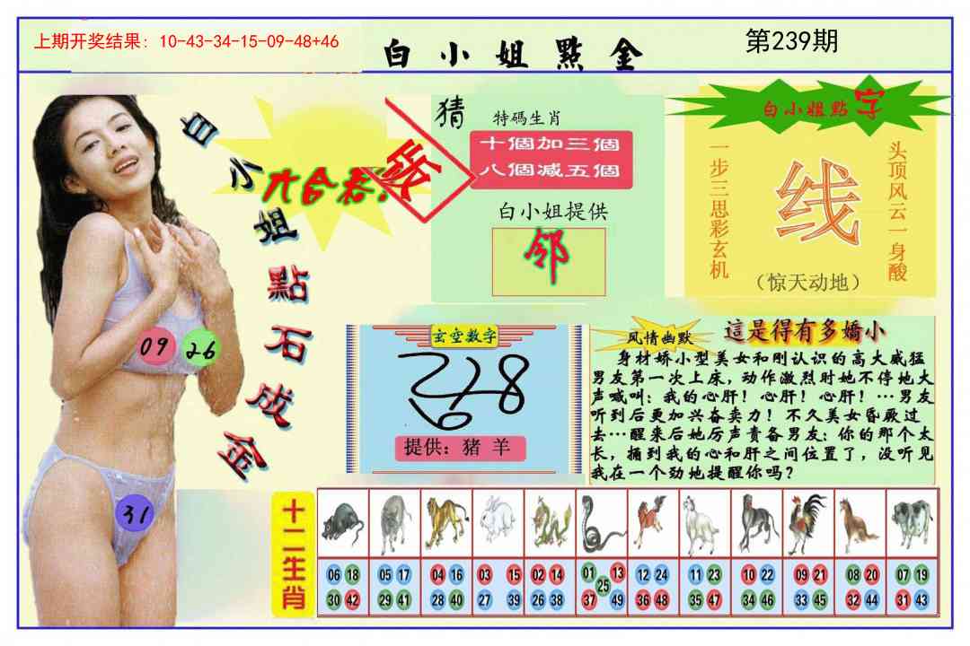 239期白小姐点金[图]