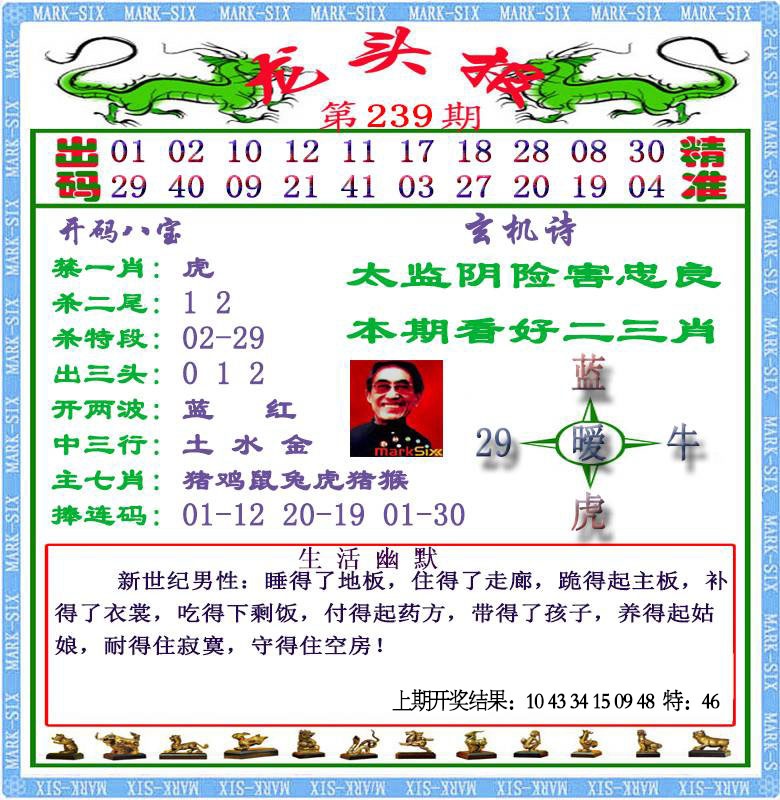 239期龙头报[图]