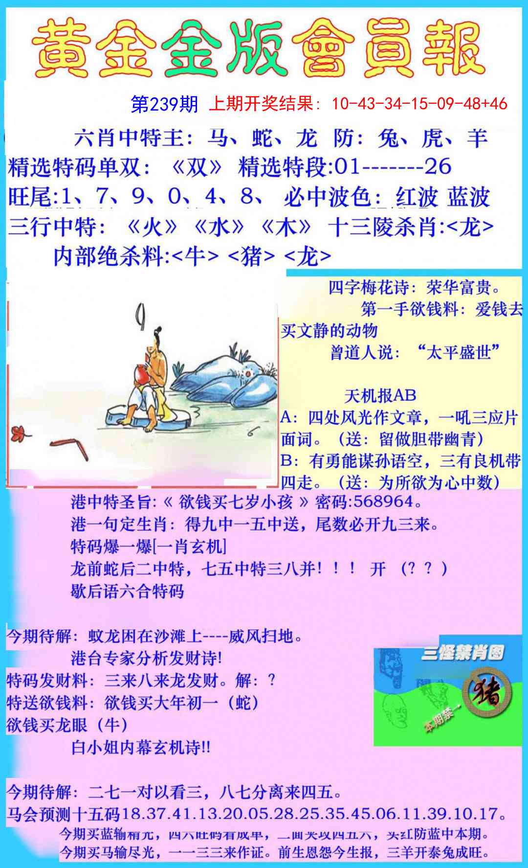 239期黄金金版会员报[图]
