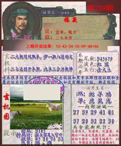 239期孔明报[图]