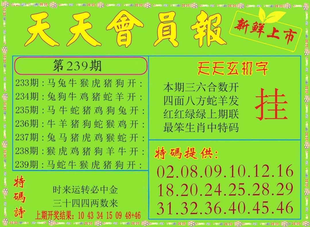 239期天天会员报[图]