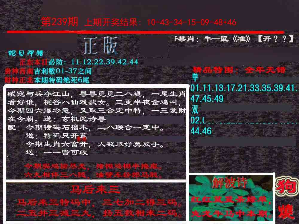 239期新港内幕[图]