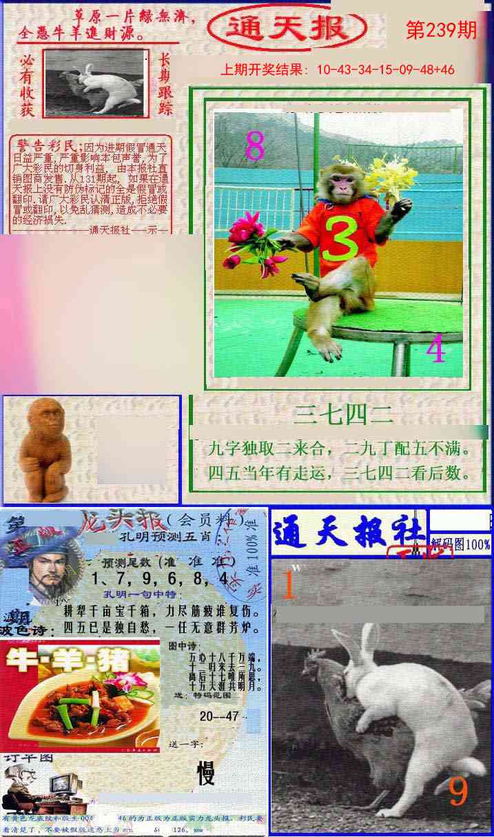239期实力通天报[图]