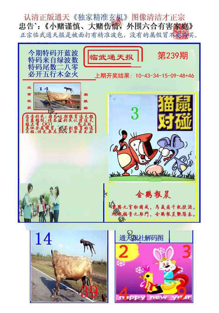 239期临武通天报[图]