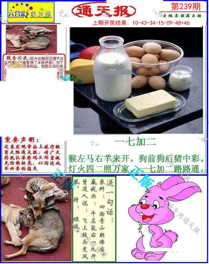 239期大陆通天报[图]