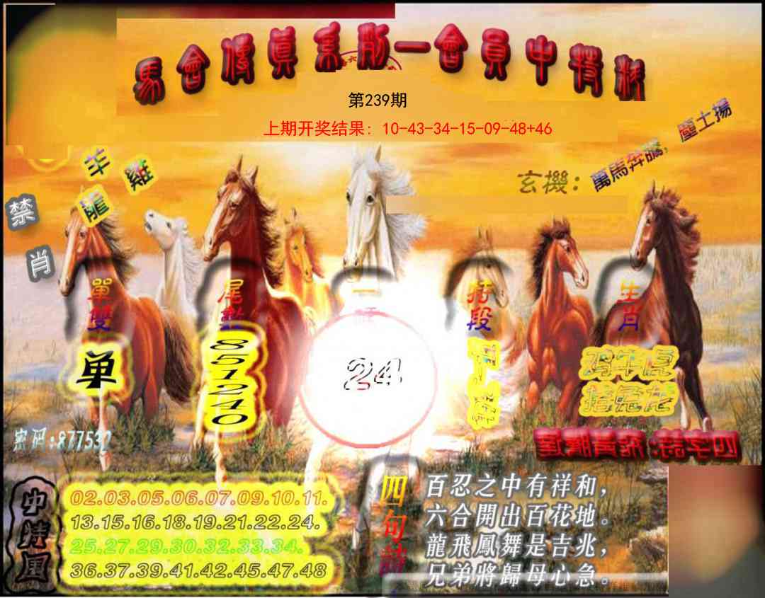 239期马会传真-会员报[图]