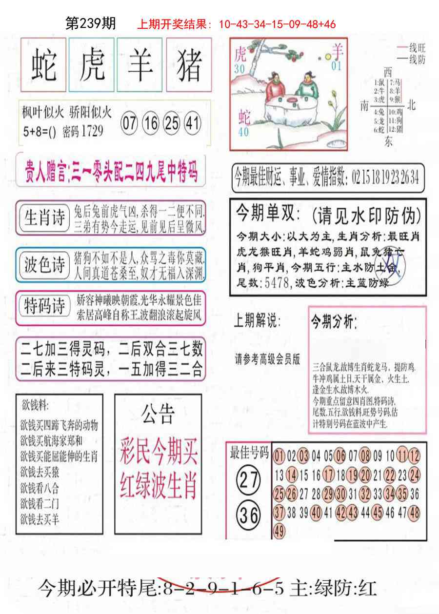 239期凤凰闲情A[图]