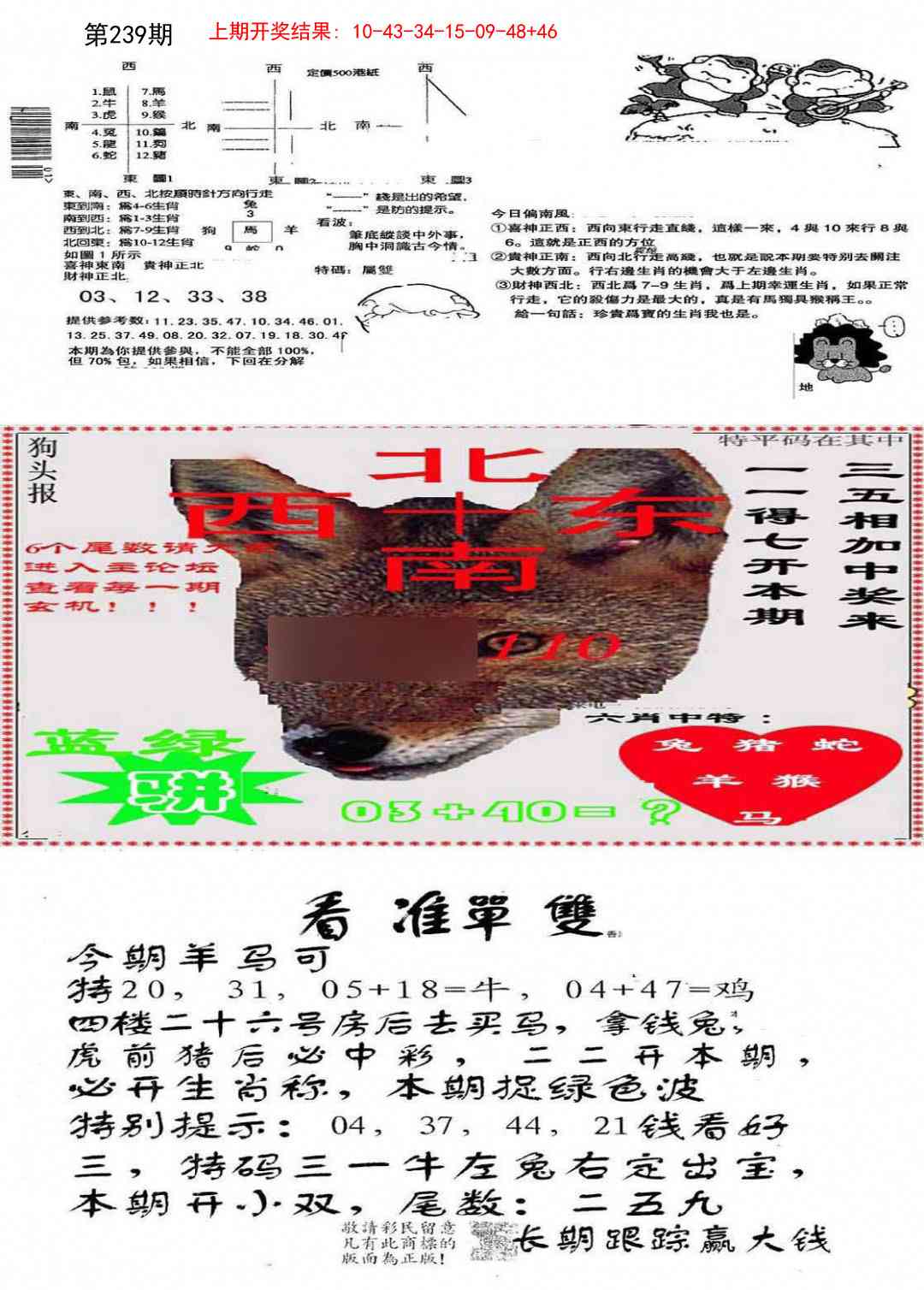 239期特码内幕B[图]