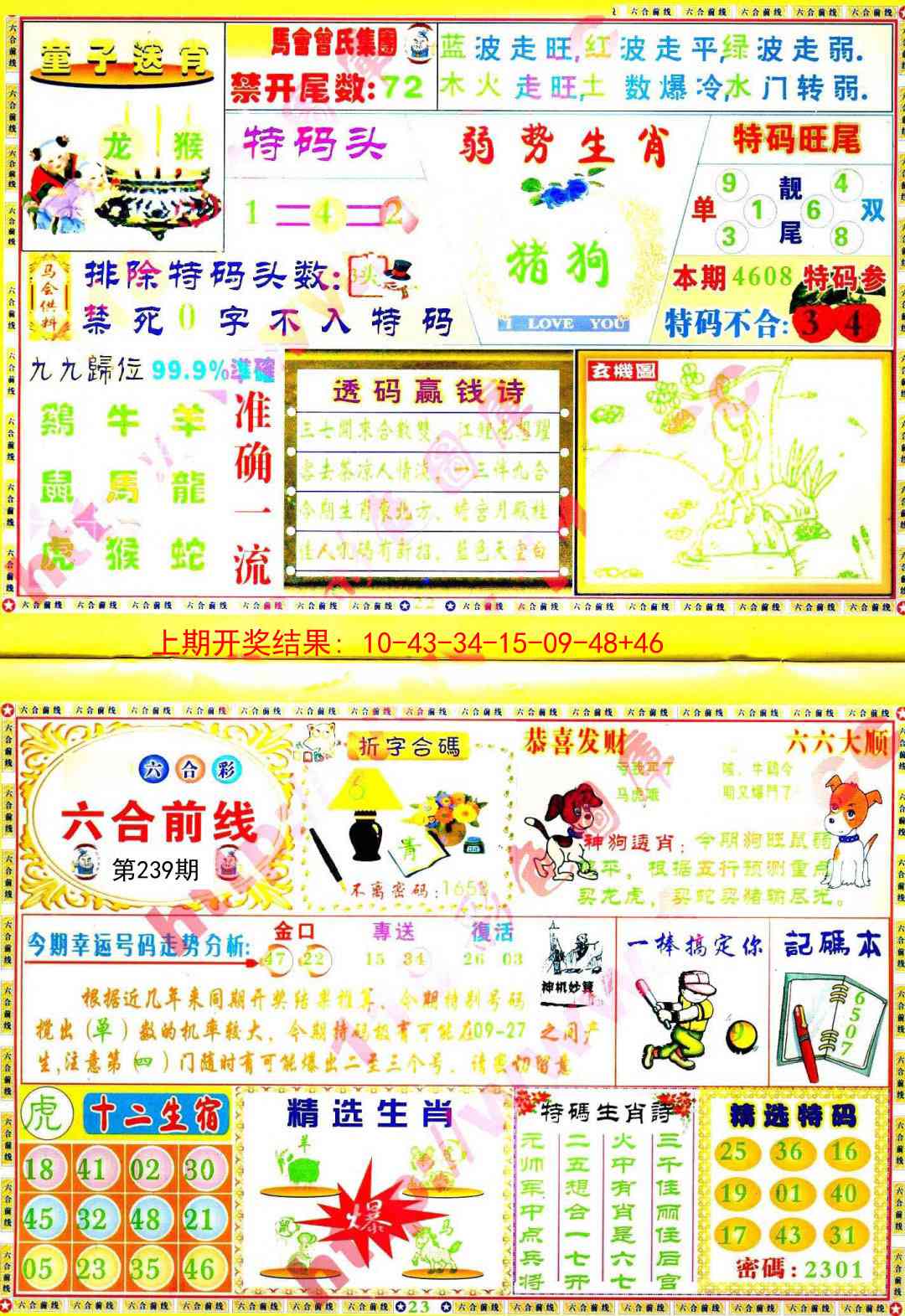 239期六合前线[图]