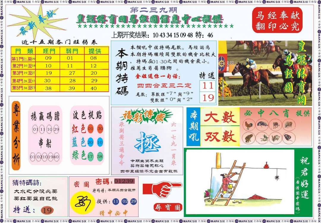 239期体育网马经图[图]