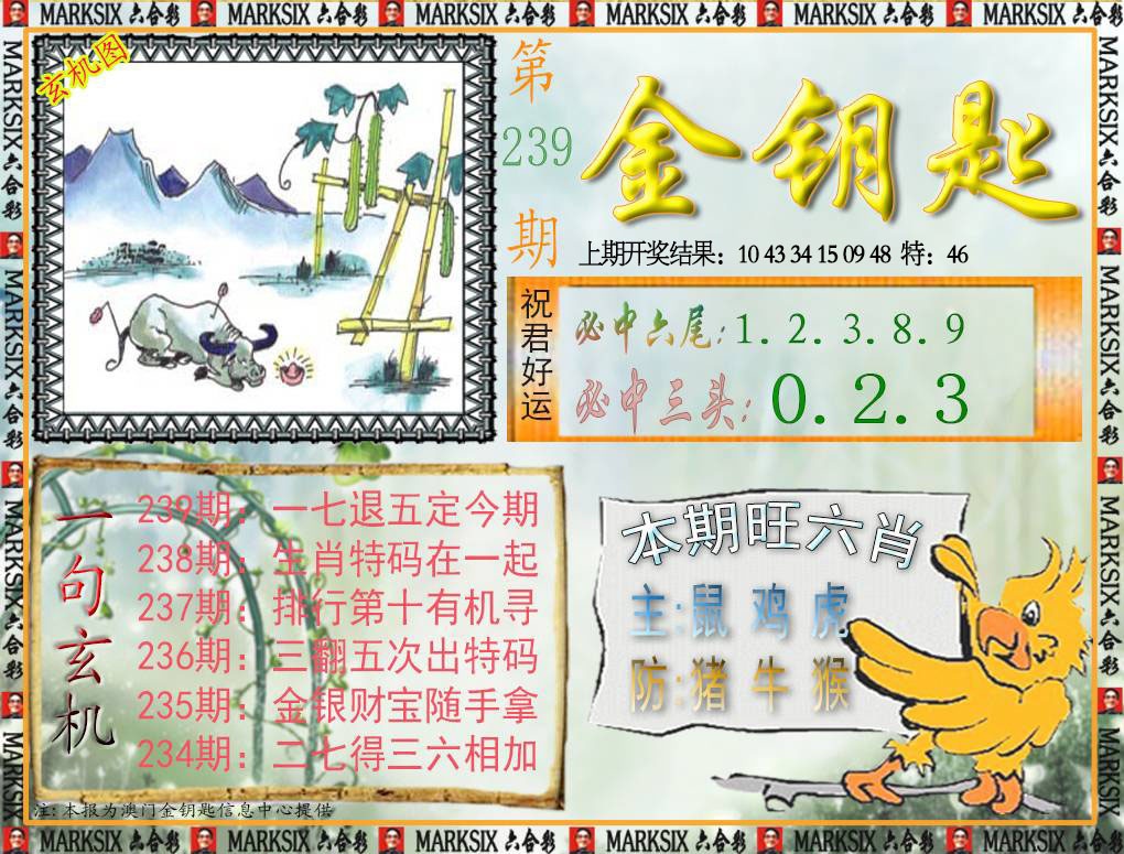239期金钥匙[图]