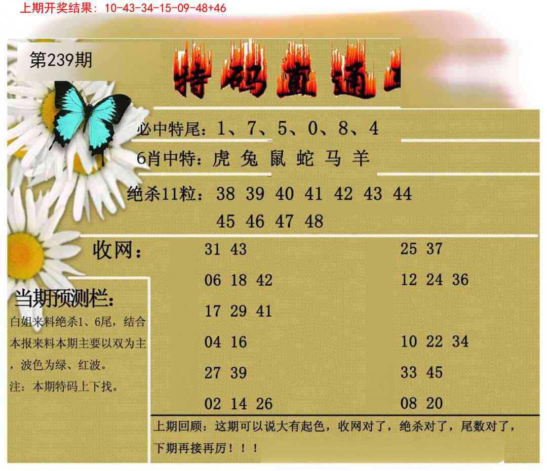 239期特码直通车[图]